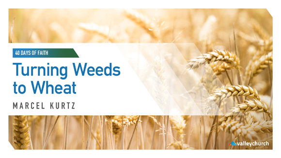 40 Days of Faith: Turning Weeds to Wheat