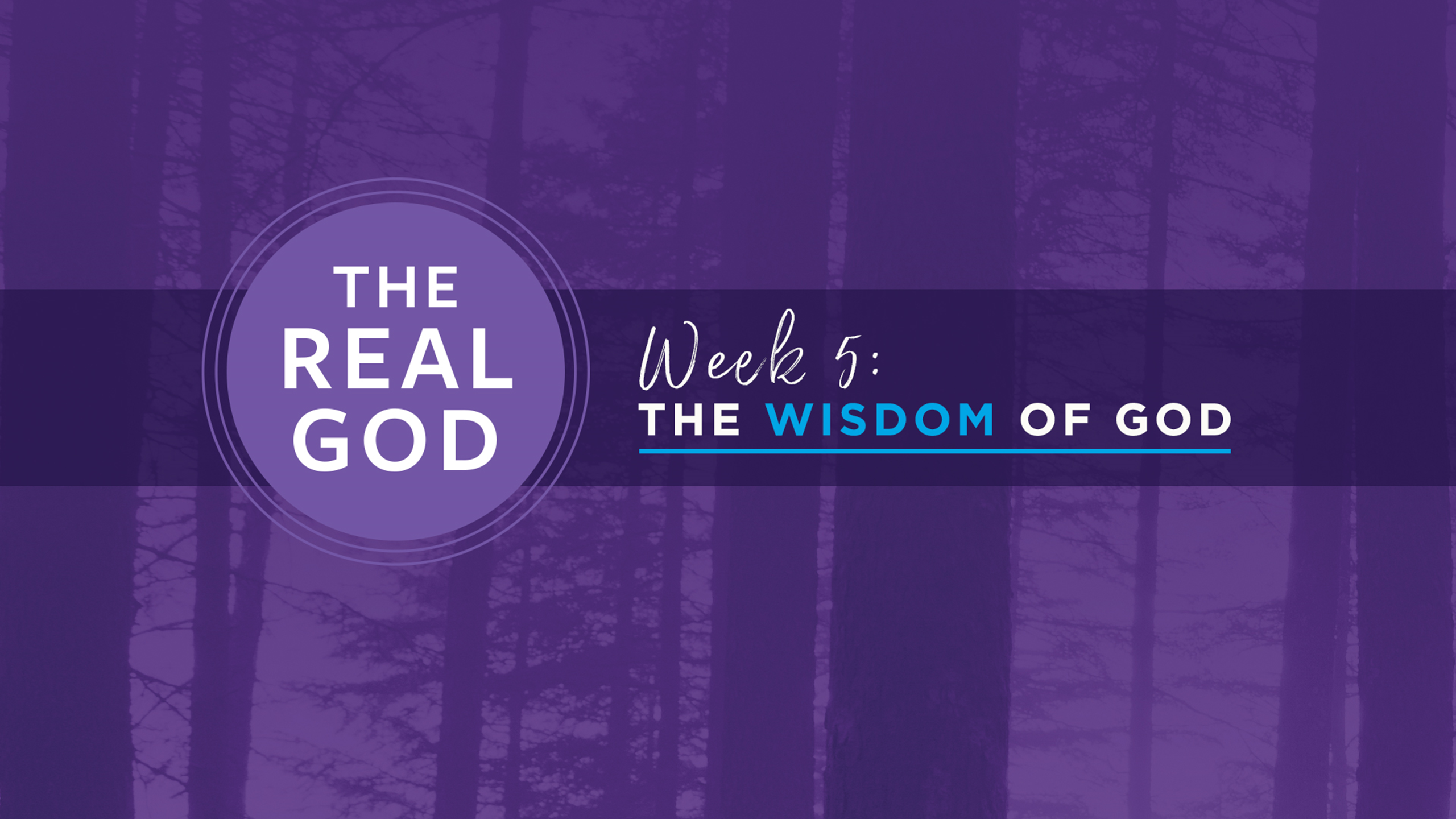 The Wisdom of God